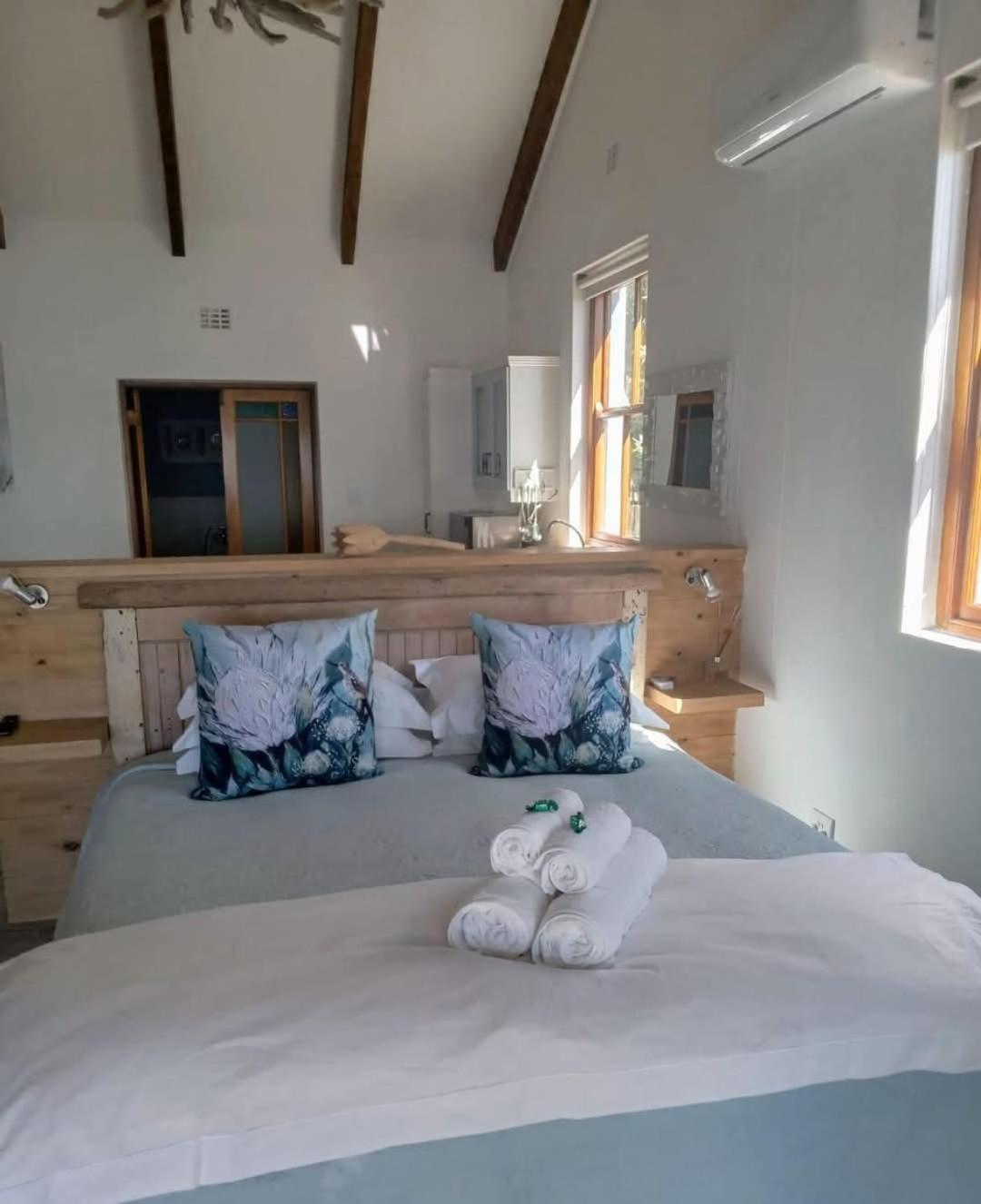 Kleinzee Oceanfront Guesthouse Gansbaai Ngoại thất bức ảnh